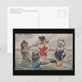 Mixed Bathing - Dog and Cats Postcard ポストカード (正面/裏面)