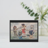 Mixed Bathing - Dog and Cats Postcard ポストカード (スタンド正面)