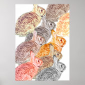 Mixed Bunny Poster Poster ポスター (正面)