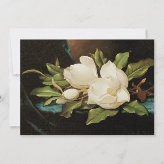 MJ Headeによる青いベルベットの布の上の巨大なマグノリアス (正面)