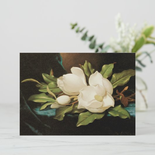 MJ Headeによる青いベルベットの布の上の巨大なマグノリアス (スタンド正面)