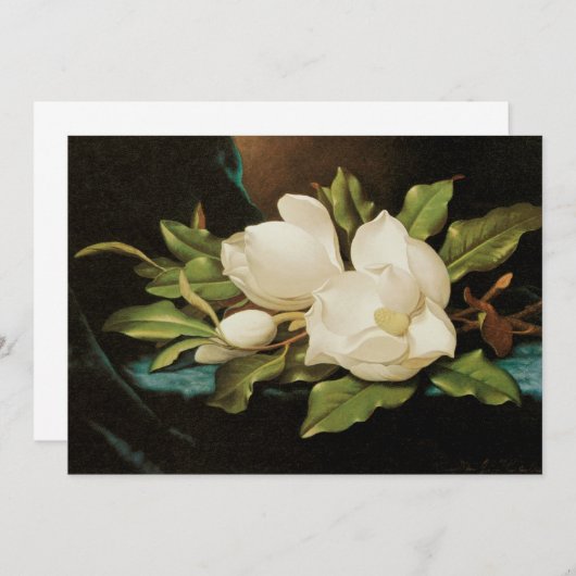 MJ Headeによる青いベルベットの布の上の巨大なマグノリアス (正面/裏面)