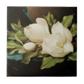 MJ Headeによる青いベルベットの布の上の巨大なマグノリアス タイル (正面)