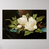 MJ Headeによる青いベルベットの布の上の巨大なマグノリアス ポスター (正面)