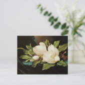 MJ Headeによる青いベルベットの布の上の巨大なマグノリアス ポストカード (スタンド正面)