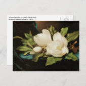 MJ Headeによる青いベルベットの布の上の巨大なマグノリアス ポストカード (正面/裏面)