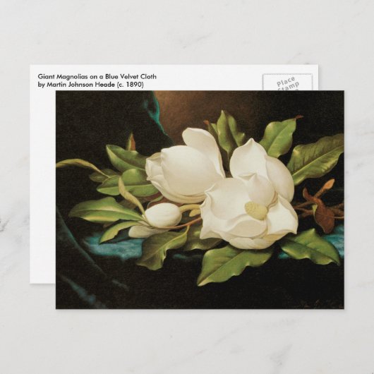 MJ Headeによる青いベルベットの布の上の巨大なマグノリアス ポストカード (正面/裏面)