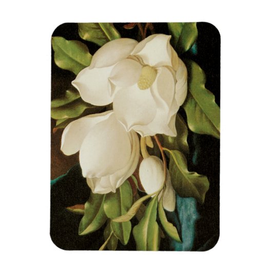 MJ Headeによる青いベルベットの布の上の巨大なマグノリアス マグネット (縦)