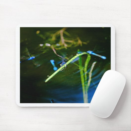 MK2A8136_v01 マウスパッド (マウス)