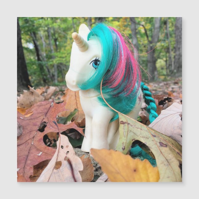 MLP Gusty in Autumn Leaves (正面)