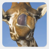 Mm Mmmm良 スクエアシール (正面)