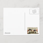 Mma旧校 ポストカード (裏面)