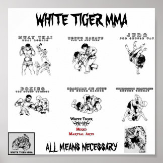 Mma all arts2, logo1_copy-224x172, tiger mma, u... ポスター