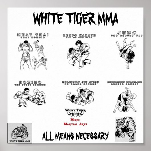 Mma all arts2, logo1_copy-224x172, tiger mma, u... ポスター (正面)