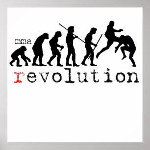 Mma (r)evolution chart posterプリント ポスター