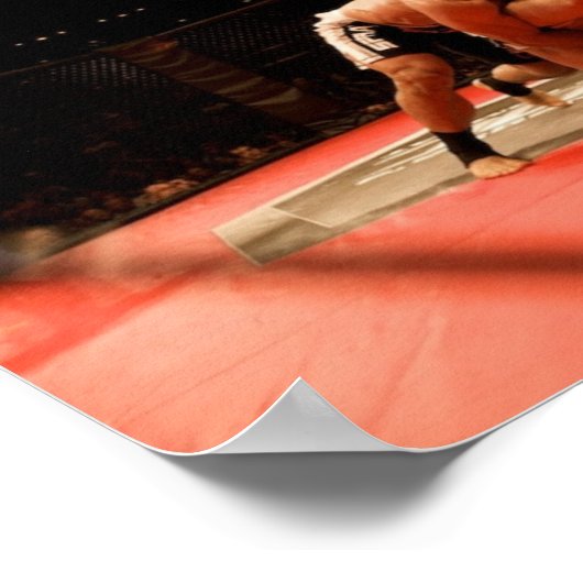 MMA Spot Origial Print ポスター (角)