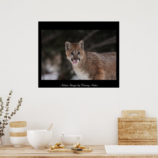 MMM – ポスター (キッチン)