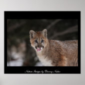 MMM – ポスター (正面)