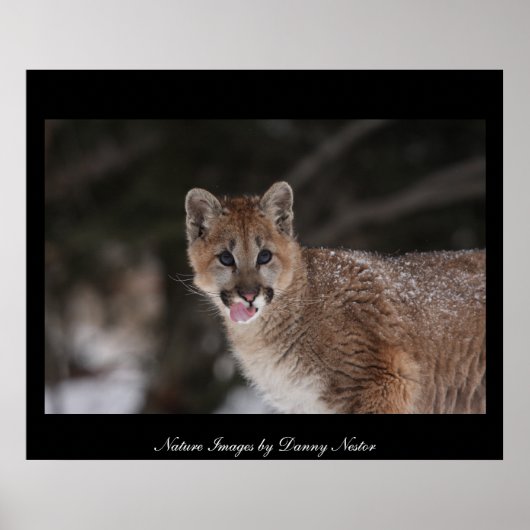 MMM – ポスター (正面)