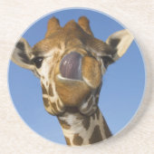 MmmmよいMmmmm コースター (正面)