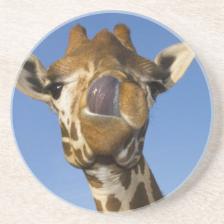 MmmmよいMmmmm コースター