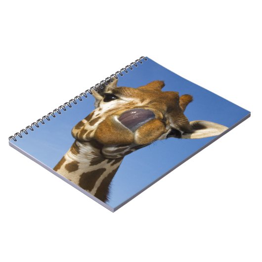 MmmmよいMmmmm ノートブック (左側)