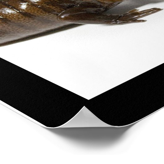 mmmmmmmmmmmmmmmm........................... ポスター (角)