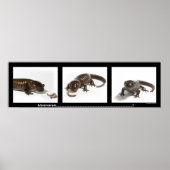 mmmmmmmmmmmmmmmm........................... ポスター (正面)