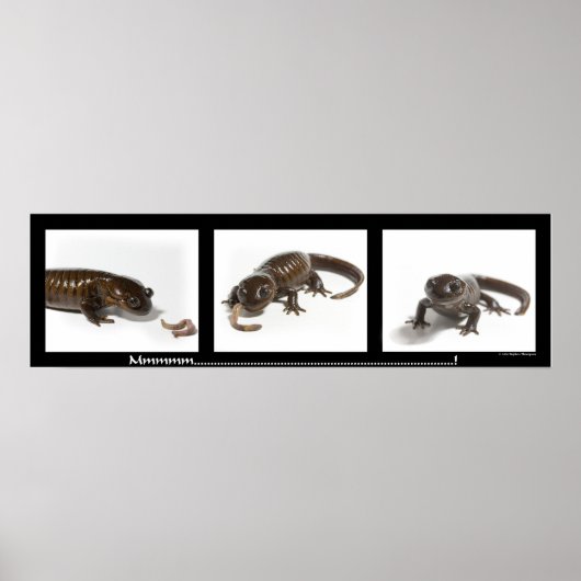 mmmmmmmmmmmmmmmm........................... ポスター (正面)