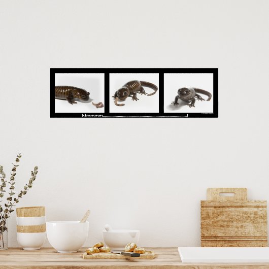 mmmmmmmmmmmmmmmm........................... ポスター (キッチン)