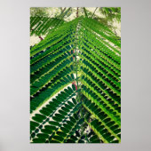 mni folha ポスター (正面)