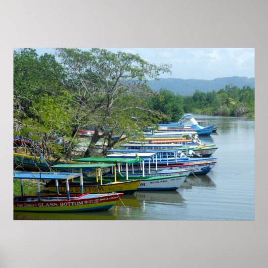 Moated River Bots Negril Jamaicaカラフル写真 ポスター (正面)