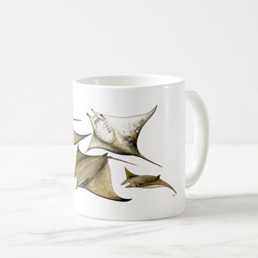 Mobula tarapacana - Chilean Devil Mantas コーヒーマグカップ (正面右)