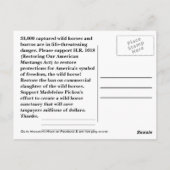 Moccasin's HOPE - Wild 救 Horses &  Burros ポストカード (裏面)