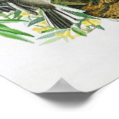 Mocking Bird John James Audubon Birds of America ポスター (角)