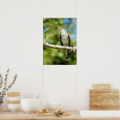 Mockingbird bird Poster ポスター (キッチン)