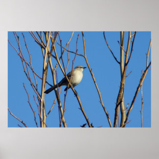 Mockingbird II ポスター