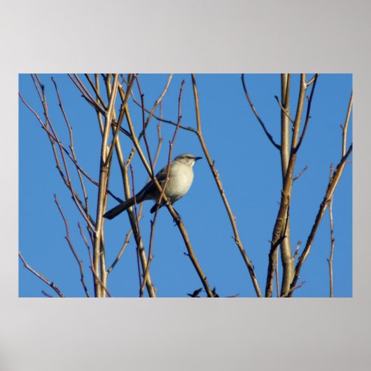 Mockingbird II ポスター (正面)