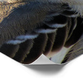 Mockingbird's Crown ポスター (角)