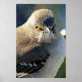 Mockingbird's Crown ポスター (正面)