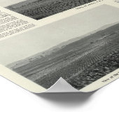Model Vineyards,カリフォルニア ポスター (角)