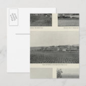 Model Vineyards,カリフォルニア ポストカード (正面/裏面)