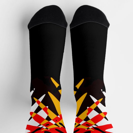 Modern 4 Nations Socks Native Tribal Art Socks ソックス (上部)
