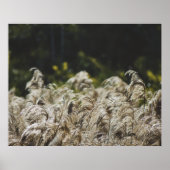 Modern Abstract Botanical Art – Nature Shapes ポスター (正面)