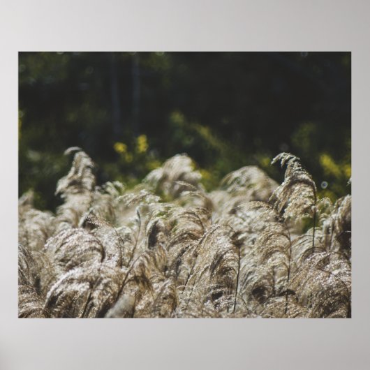 Modern Abstract Botanical Art – Nature Shapes ポスター (正面)