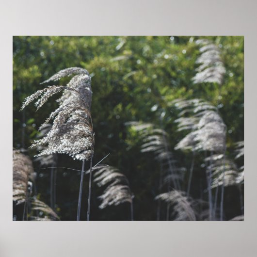 Modern Abstract Botanical Art – Nature Shapes ポスター (正面)