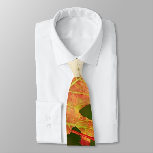 Modern and Elegant Autumn Leaves Tie ネクタイ (タイ)