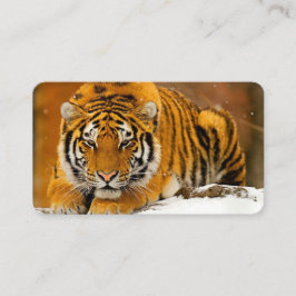 Modern Animal Art Card Set – Tiger & Fantasy Bird 名刺