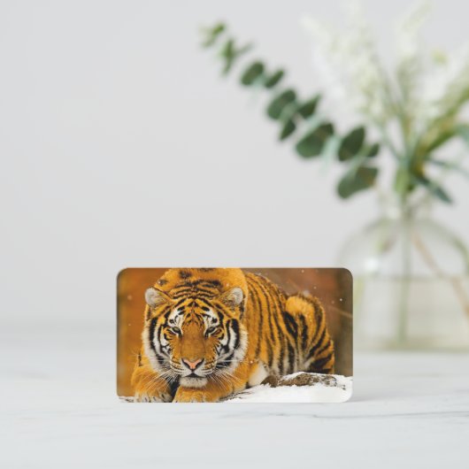 Modern Animal Art Card Set – Tiger & Fantasy Bird 名刺 (スタンド正面)