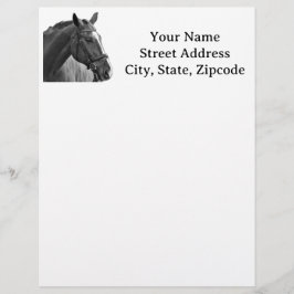 Modern Black and White Horse レターヘッド